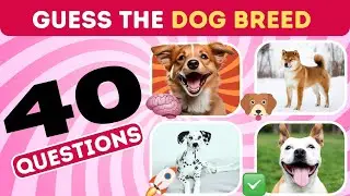 Dog Breeds Challenge ll 40 Dogs Breeds Names In English With Pictures ll 40 Popular Dogs