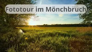 Fototour durch den Mönchbruch, Sonnenuntergangsfotografie
