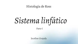 Sistema linfático | Parte I | Histología de Ross