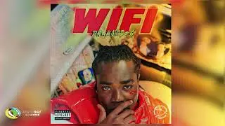 DarkoVibes - WIFI (Official Audio)