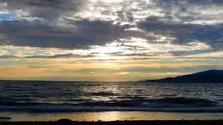 DSCF4203