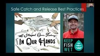 Safe Catch and Release Best Practices