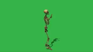 Free Green Screen Skeleton Dance