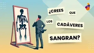 Historia Paradigmas - El Cadáver que se Sorprendió al Ver su Sangre