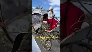 Карета с живой музыкой едет по Суздалю! А ты бы прокатился?