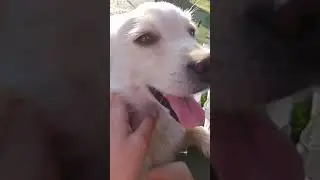 1/? часть влога 😍