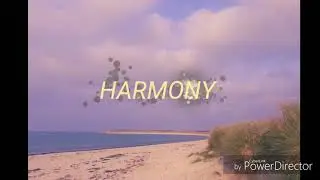 SKYFOREST - harmony