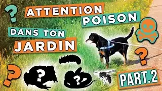 POISON du CHIEN dans le JARDIN - Part 2