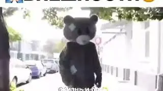 Не судите по внешности