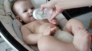 Прикорм (вводим брокколи).