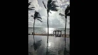 Видео из моего фотоальбома 