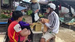 Baby Monkey Could Barely Move—Dad Refused to Walk Away 🥺❤️
