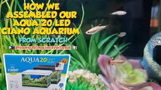 HOW WE ASSEMBLED OUR 17L AQUA 20 LED AQUARIUM FROM CIANO ● GET SOME TIPS AND IDEAS ● JnC CORNER