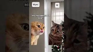 Котики 🐈 заболели 🤒 