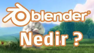 Blender Nedir?