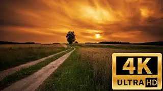 Relaxing Beautiful Music for Yoga, Meditation and Sleep with 4K Peaceful views of Graceful Horses