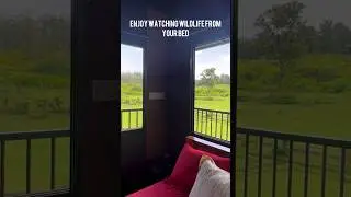 Enjoy wildlife movement from your bed | Stay in Tower house facing reserve forest