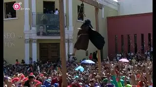 LA JUDEA 2022 EN PURÍSIMA DEL RINCÓN