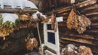 Старинный дом в русском стиле / Псковская деревня