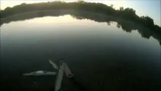Казахстан, Караганда, Нура, Петровка 23 07 2015  "Щука и мусор"