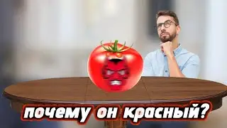 ПОЧЕМУ ПОМИДОР КРАСНЫЙ? | ОТВЕТ НА ОЧЕНЬ СЛОЖНЫЙ ВОПРОС