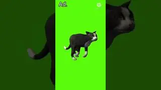 running cat Green screen