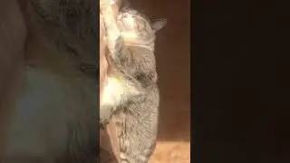 ВасяААА