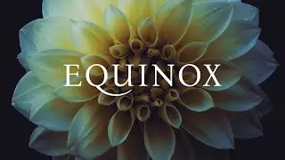 50% off selected Orchestral Tools collections–Spring Textures sale