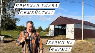 Накрутили более 1000 рулонов сенажа. Полевые работы и благоустройство фермы.