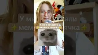 Хомячок едет домой 🥺🎀 