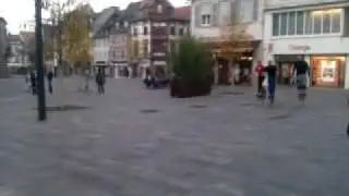 Echasses à Haguenau