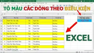 Cách tô màu các dòng dữ liệu theo điều kiện trong Excel❤ Việt Nam Channel ❤