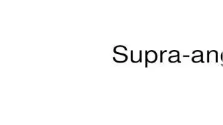 How to pronounce Supra-angular