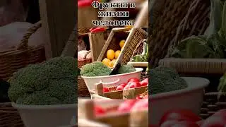 Фрукты в жизни человека [Atlas Pro]