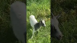 Красота👍👍👍