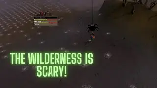 Wilderness First Look | OSRS in HD #17