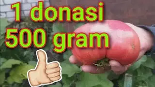 Rossiyada ilmiy izlanish olib borayotgan Buxorolik dexqon