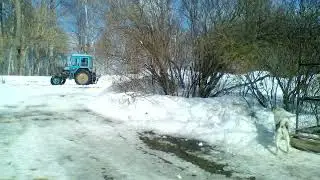 Март 2021
