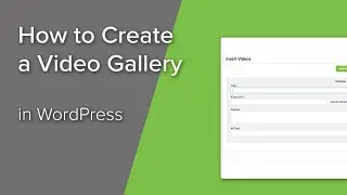 How to Create a WordPress Video Gallery