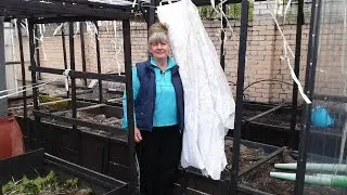 Vegetable garden, use of tulle in greenhouses.