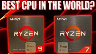 The BEST Of The BEST? [AMD 5800X and 5950X Review]