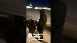 Загадываем желания в Санкт-Петербурге с моим другом Иваном Рыбниковым! #рыбников #ларисагордьера