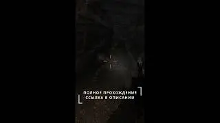 Когда играешь в Сталкер 🔺 и пинается Снорк - Потерянный Отряд [FORAST] 