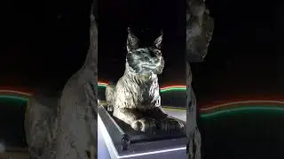 #гомельские
