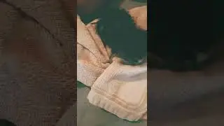 жужу помыли орала так .