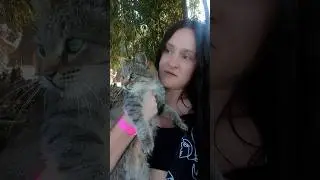 Я человек простой, вижу животное–бегу его гладить и ничего не могу с собой поделать😂😂😂🫣