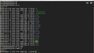 Get files created inside docker image to host