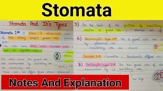 What is stomata | Stomata and their types |Stomata and their functions
