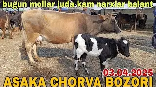 АНДИЖОН АСАКА УЗБЕКИСТАН ЧОРВА МОЛ БОЗОРИ ОНА БОЛА БОГОЗ СИГИРЛАР НАРХЛАРИ