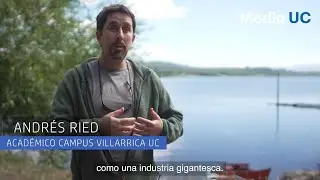 ¿Por qué es necesario el ocio?